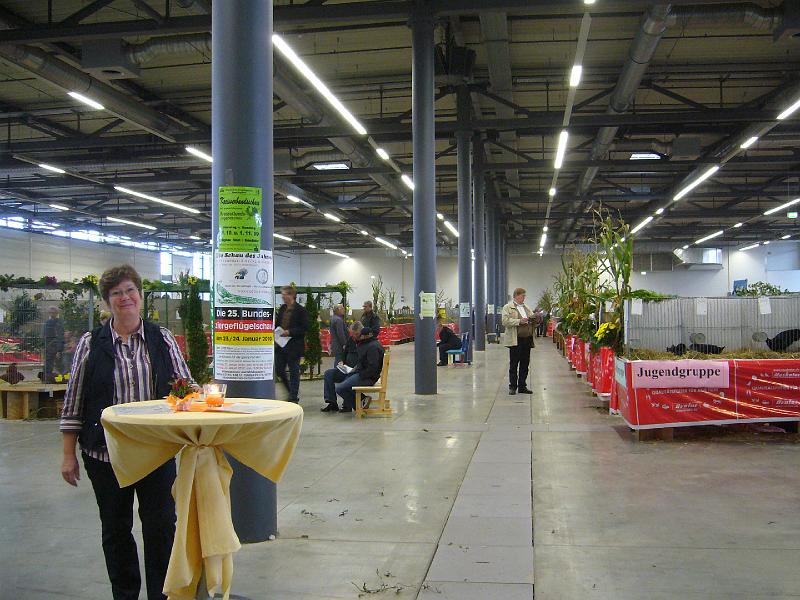 Munster 2009 395.jpg